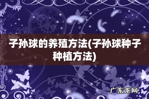 子孙球种子种植方法 子孙球的养殖方法