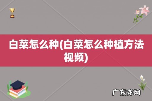 白菜怎么种植方法视频 白菜怎么种