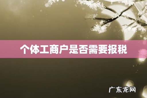 个体工商户是否需要报税