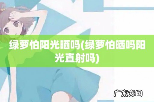 绿萝怕晒吗阳光直射吗 绿萝怕阳光晒吗