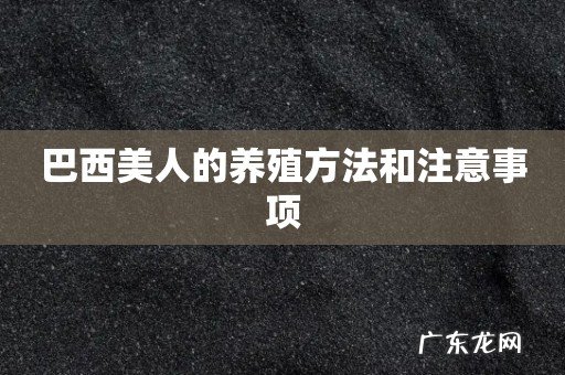 巴西美人的养殖方法和注意事项