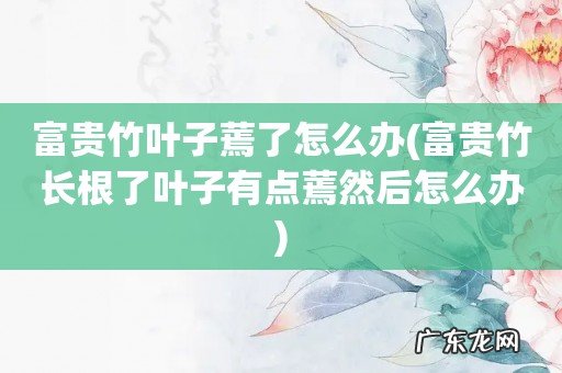 富贵竹长根了叶子有点蔫然后怎么办 富贵竹叶子蔫了怎么办