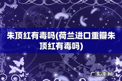 荷兰进口重瓣朱顶红有毒吗 朱顶红有毒吗