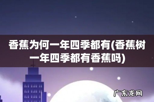 香蕉树一年四季都有香蕉吗 香蕉为何一年四季都有