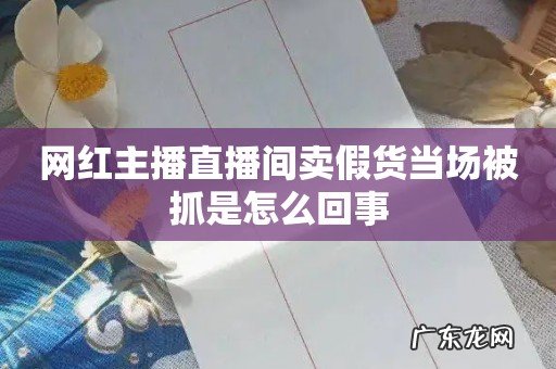 网红主播直播间卖假货当场被抓是怎么回事
