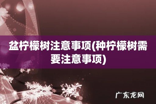 种柠檬树需要注意事项 盆柠檬树注意事项