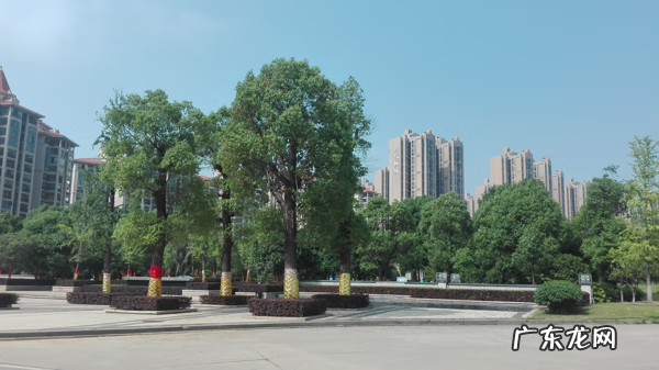 五行八卦风水 五行八卦 风水