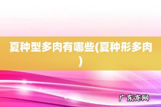 夏种形多肉 夏种型多肉有哪些
