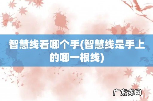 智慧线是手上的哪一根线 智慧线看哪个手
