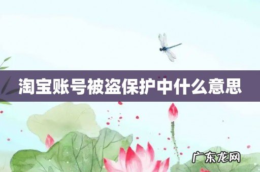 淘宝账号被盗保护中什么意思