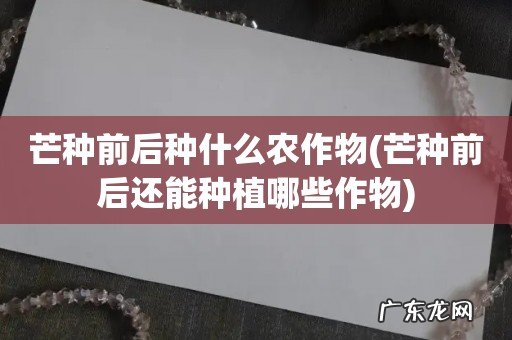 芒种前后还能种植哪些作物 芒种前后种什么农作物