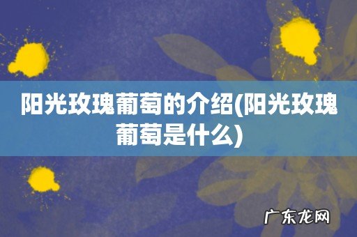 阳光玫瑰葡萄是什么 阳光玫瑰葡萄的介绍