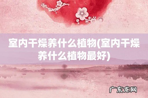 室内干燥养什么植物最好 室内干燥养什么植物