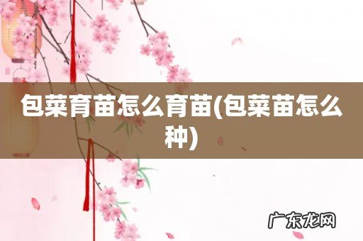 包菜苗怎么种 包菜育苗怎么育苗