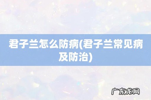 君子兰常见病及防治 君子兰怎么防病