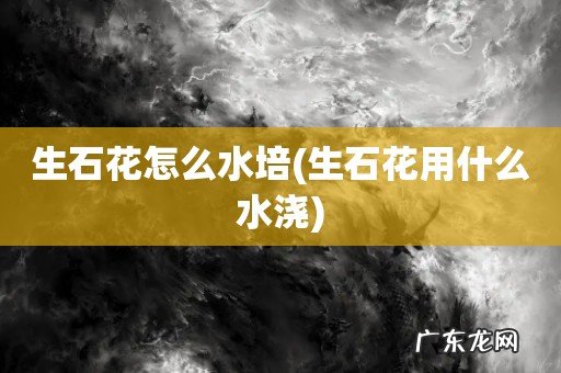 生石花用什么水浇 生石花怎么水培