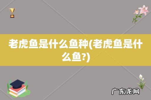 老虎鱼是什么鱼? 老虎鱼是什么鱼种