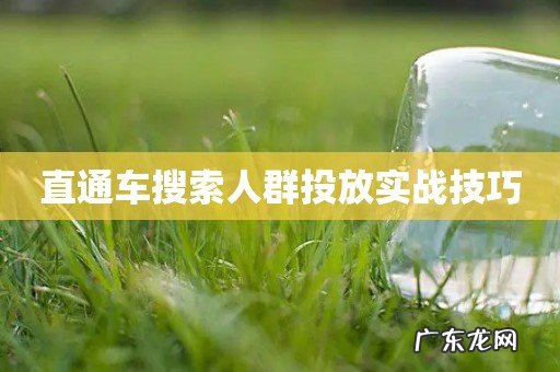 直通车搜索人群投放实战技巧