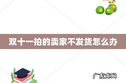 双十一拍的卖家不发货怎么办