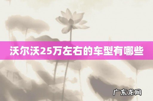 沃尔沃25万左右的车型有哪些
