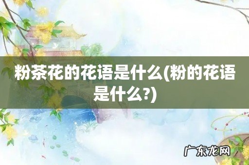 粉的花语是什么? 粉茶花的花语是什么
