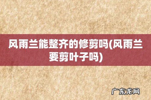 风雨兰要剪叶子吗 风雨兰能整齐的修剪吗
