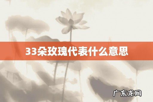 33朵玫瑰代表什么意思