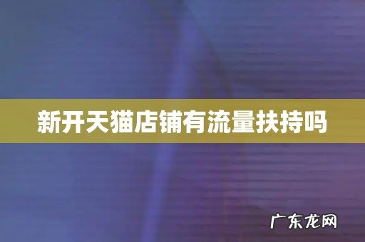 新开天猫店铺有流量扶持吗