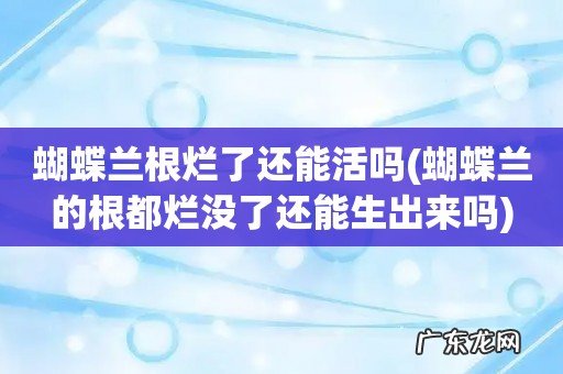 蝴蝶兰的根都烂没了还能生出来吗 蝴蝶兰根烂了还能活吗