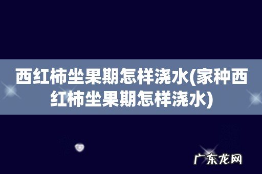 家种西红柿坐果期怎样浇水 西红柿坐果期怎样浇水