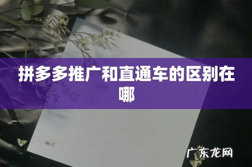 拼多多推广和直通车的区别在哪