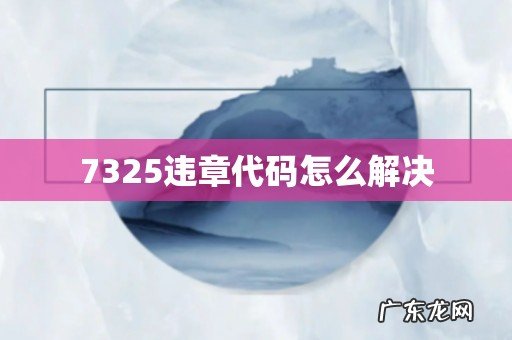 7325违章代码怎么解决