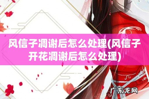 风信子开花凋谢后怎么处理 风信子凋谢后怎么处理