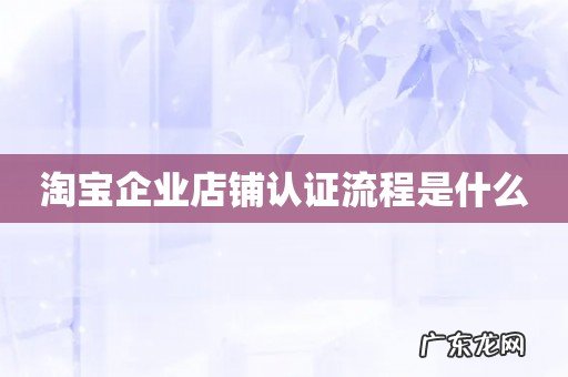 淘宝企业店铺认证流程是什么