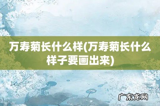 万寿菊长什么样子要画出来 万寿菊长什么样