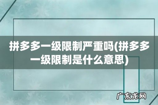 拼多多一级限制是什么意思 拼多多一级限制严重吗