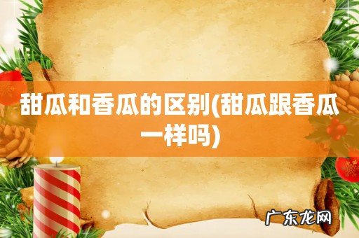 甜瓜跟香瓜一样吗 甜瓜和香瓜的区别