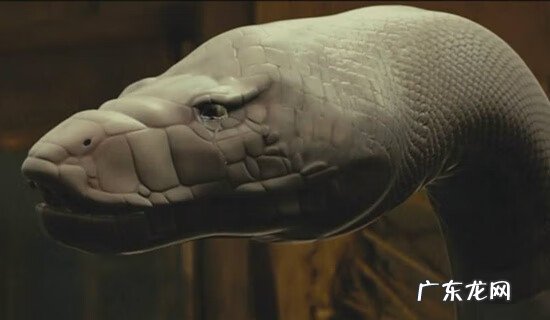 易经风水大师杨永虎 袁正易经风水