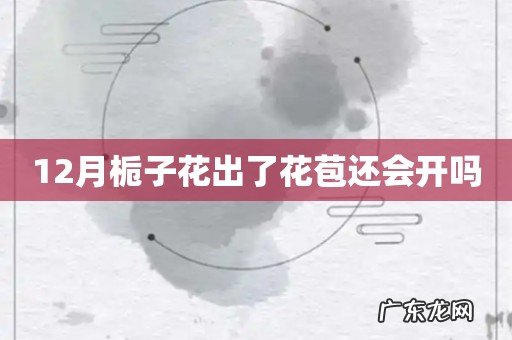 12月栀子花出了花苞还会开吗