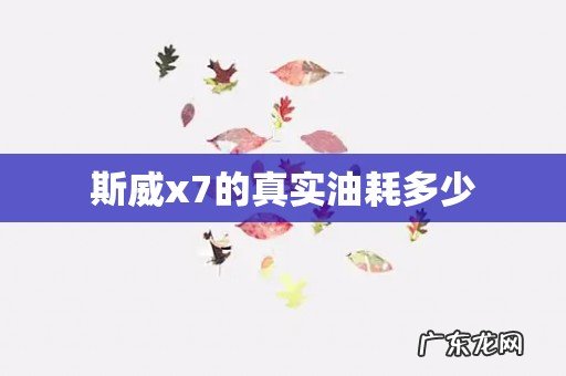 斯威x7的真实油耗多少