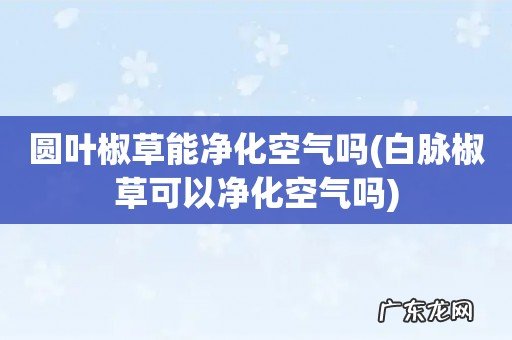 白脉椒草可以净化空气吗 圆叶椒草能净化空气吗