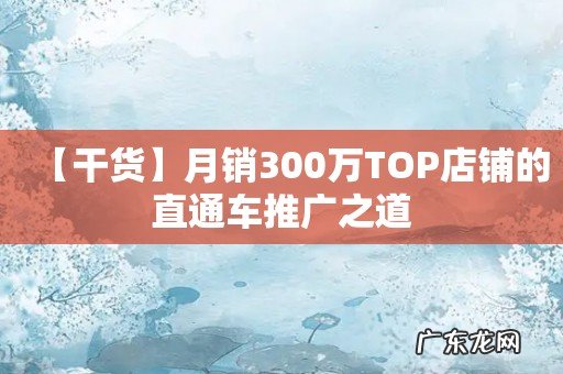 【干货】月销300万TOP店铺的直通车推广之道