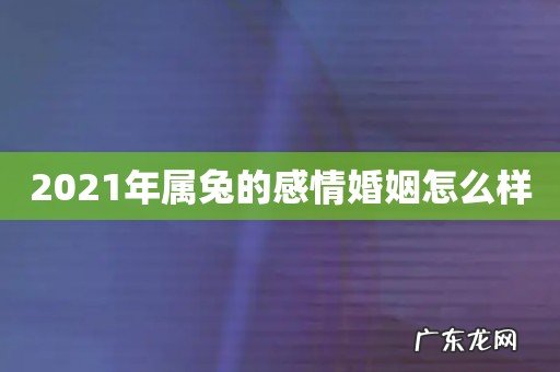 2021年属兔的感情婚姻怎么样