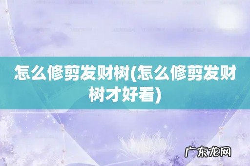 怎么修剪发财树才好看 怎么修剪发财树