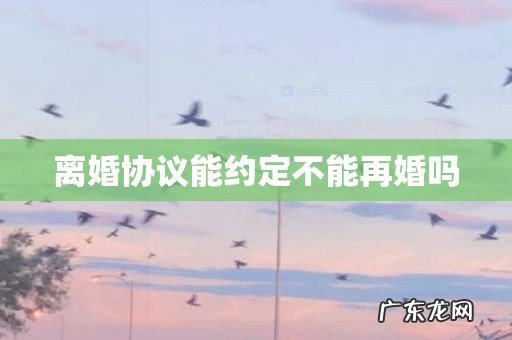 离婚协议能约定不能再婚吗