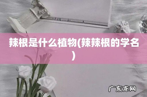 辣辣根的学名 辣根是什么植物