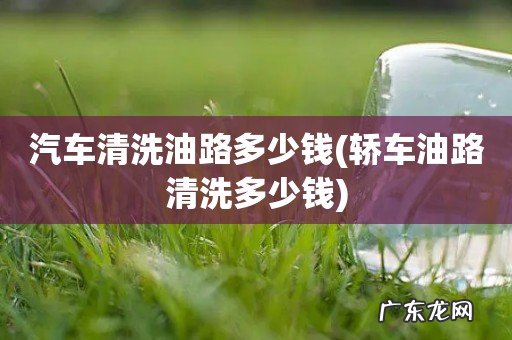 轿车油路清洗多少钱 汽车清洗油路多少钱