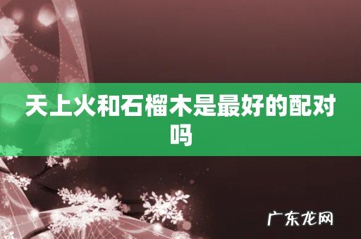 天上火和石榴木是最好的配对吗