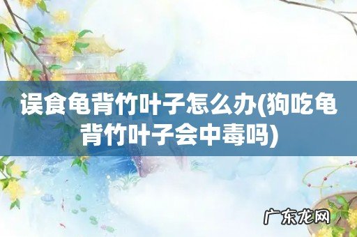 狗吃龟背竹叶子会中毒吗 误食龟背竹叶子怎么办