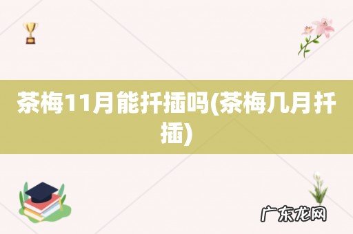 茶梅几月扦插 茶梅11月能扦插吗